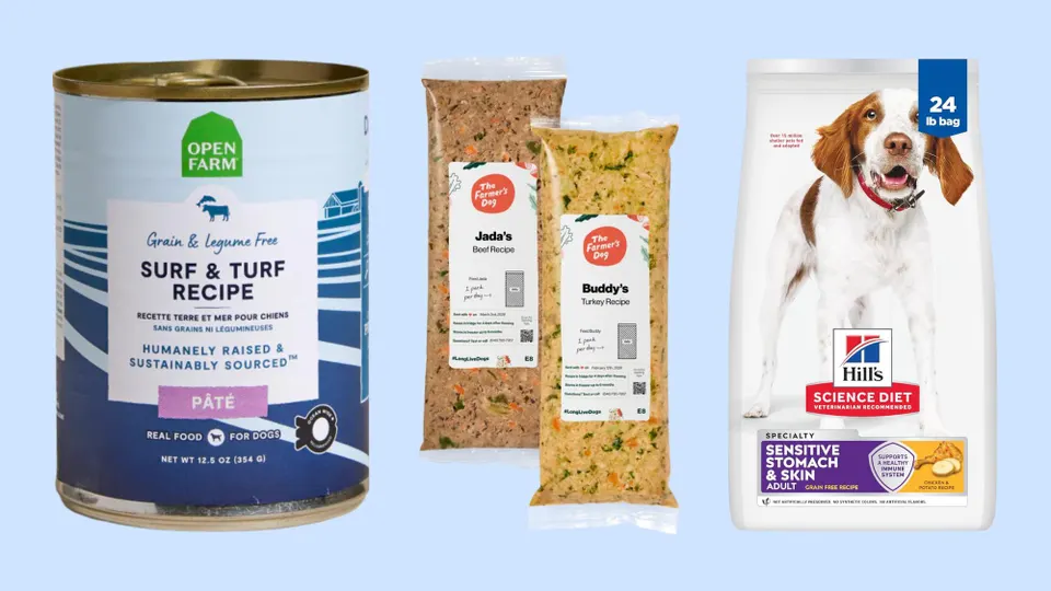 Chewy coupons used to compare premium pet nutrition and dog food formulas
